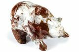 Realistic Polished Colorful Jasper/Agate Bear - India #308474-1